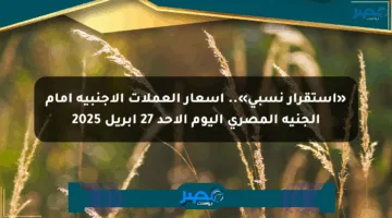 «استقرار نسبي».. أسعار العملات الأجنبية أمام الجنيه المصري اليوم الأحد 27 إبريل 2025